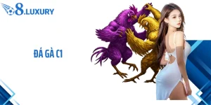 Đá Gà C1- Chiến Lược Cá Cược Bất Bại Cho Tân Thủ